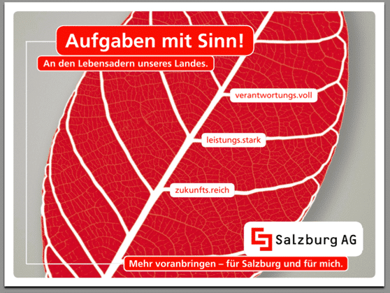Case Salzburg AG Employer Branding Projekt identifire