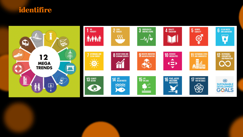 Sustainable development goals identifire